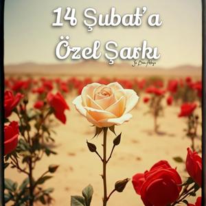 Sen Benim Aşkımsın