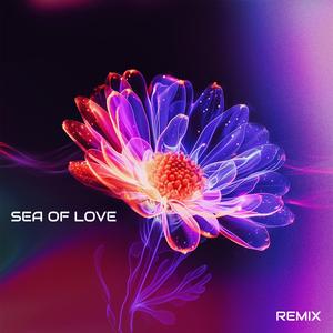 Sea of Love (CMIXER Remix)