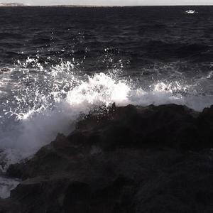 花瓣掉到了地上