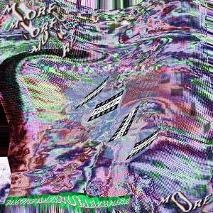 R.I.P. Wii Shop (feat. Taylor!, Ototoxic & DJ Enpitsu)