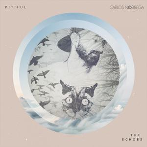 Pitiful (Pablo Rodriguez Remix)