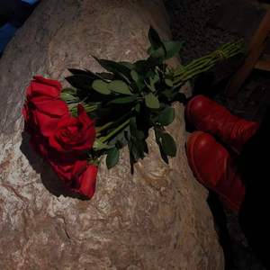 Shahmen-Mark（VoSak / GALABRO Remix）