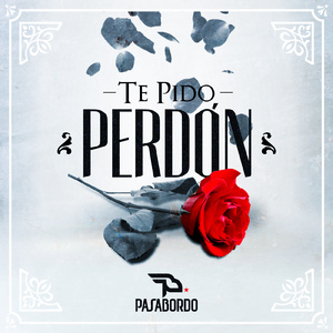 Te Pido Perdon (Popular)