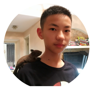 胡桐原创《决胜一百天》