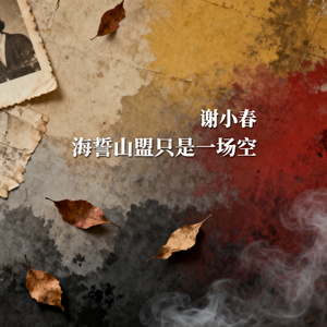 海誓山盟只是一场空