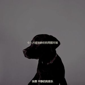 优美可爱的狗器乐