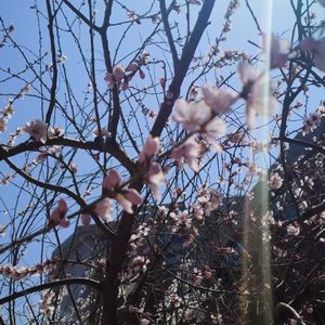 way of love（prod by Morrow）