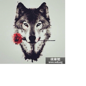 风去云不回（Cover 吴京）