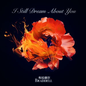 I Still Dream About You（CD）