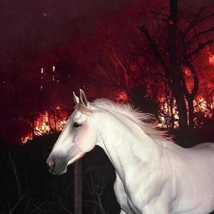 从此我只贪烟酒不贪情