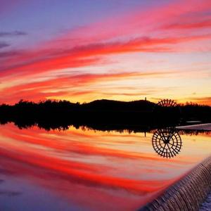 白发听终戏百年