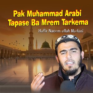 Pak Muhammad Arabi Tapase Ba Mrem Tarkema