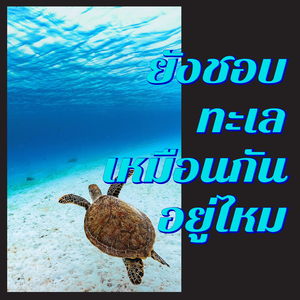 ยังชอบทะเลเหมือนกันอยู่ไหม