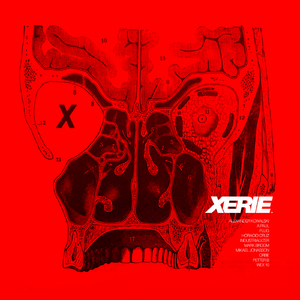 Filtered Rhythm (Original Mix)