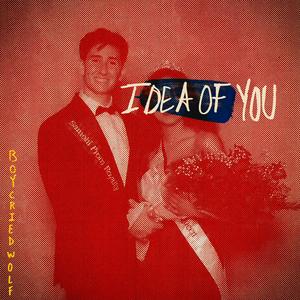 Idea of You