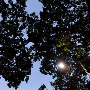 关于我把我的毕业致谢写成了一首歌