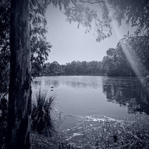 One more day, please