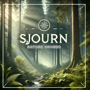 Mindfulness Harmony Serenity Awakening Therapy