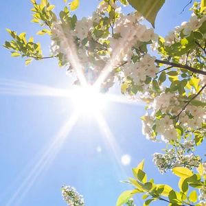 不是因为寂寞才想你