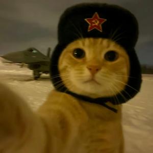 boyboyboybee（DJ阿柒 remix）