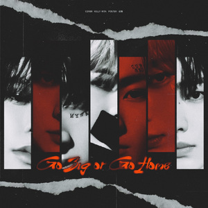 모 아니면 도（Go Big or Go Home）