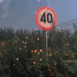 葬花吟（Prod by Dawn）