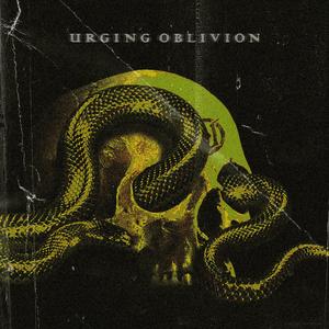 人生的戲作伙播