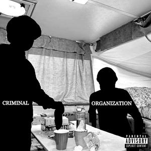 CRIMINALORGANIZATION