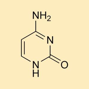 イヤフォン (earphone)