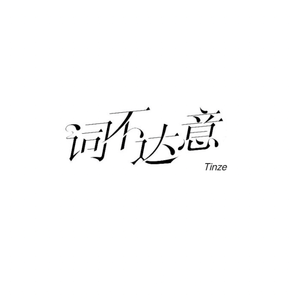 词不达意
