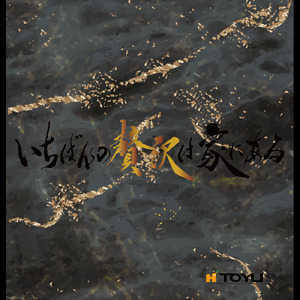 東友の家ーいちばんの贅沢は家にある (hairezo)