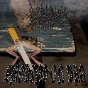 The blunt got me in vietnam (EP Teaser)