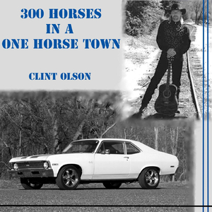 300 Horses in a One Horse Town