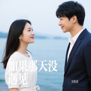 如果那天没遇见