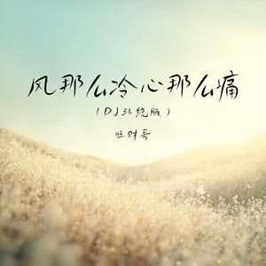 旺财哥-风那么冷心那么痛(DJ环绕版)