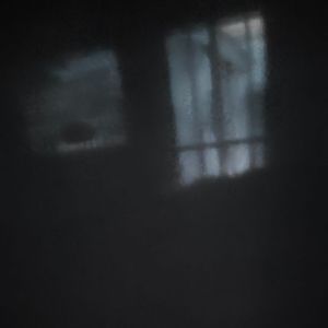 太聪明（奶酪ovo）