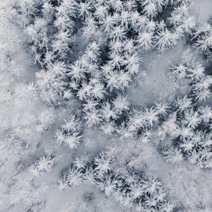 咖喱咖喱(Live)-牛奶咖啡