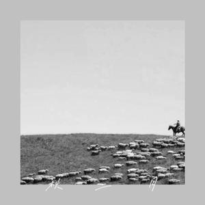 胡天八月即飞雪