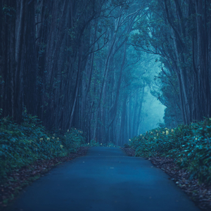 Peaceful Pulsations for Present Perception