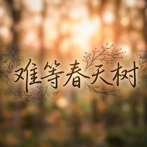 难等春天树