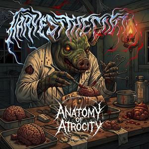 Grey Matter Stew and a Needle for Grace