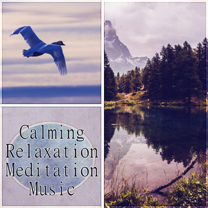 Relaxing Sounds and Long Sleeping Songs