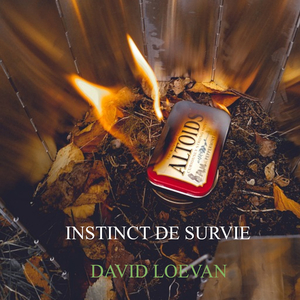un livreur à noël