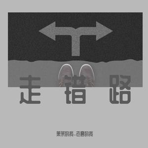 走错路