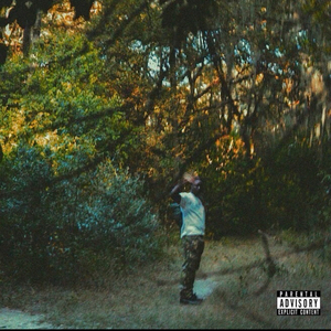 AOY (feat. NEM6)