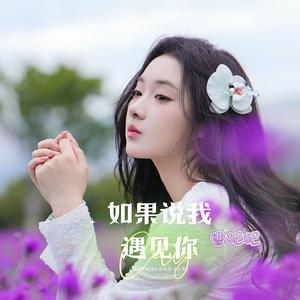 如果没有遇见你