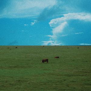 Lonely Vices