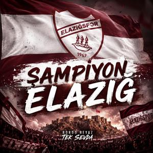 Şampiyon Elazığ