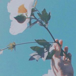 遇见你就是一场花开(demo)