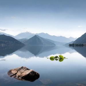 花儿与少年 (R&B放克版)